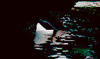 Orques, orques003