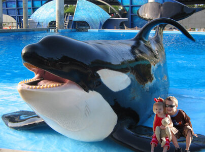 Orques, jake-abby-shamu