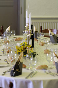 90 ans de mamie Louise - Noyarey mars 2013, 90 ANS MAMY Vincent  11 