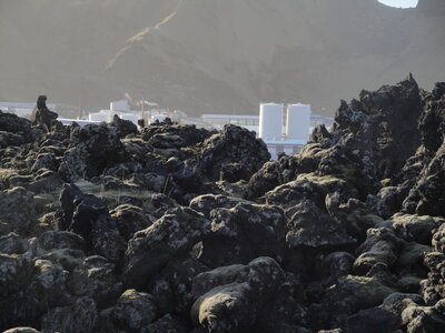 Islande - îles Vestmann, DSC01659