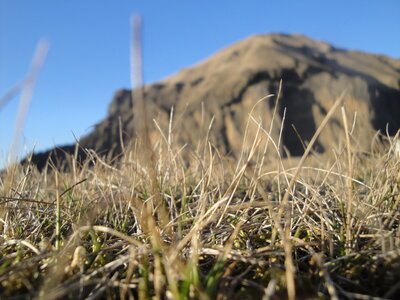 Islande - îles Vestmann, DSC01708