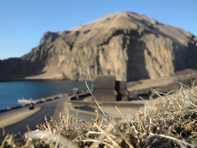Islande - îles Vestmann, DSC01709