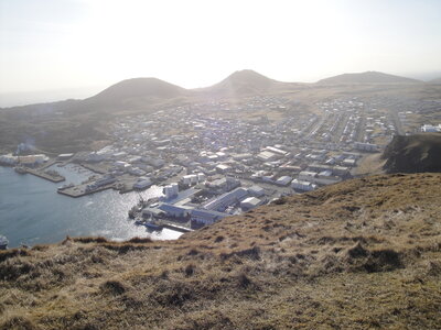 Islande - îles Vestmann, DSC01807