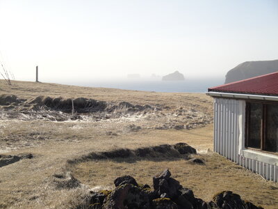 Islande - îles Vestmann, DSC01850
