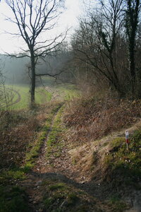 Les courses du coeur, IMG_9220