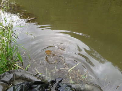 05/05/13, Photo-0082
