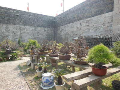 Zhonghuamen , DSCN0527