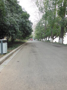 Xuanwu Lake, DSCN0358