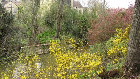 Chartres avril 13, IMG_0911