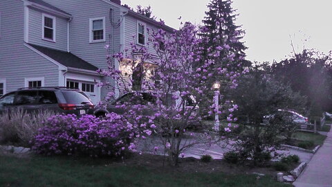 Caro US Mai 2013 Semaine 2 Boston - MIT, S1090002