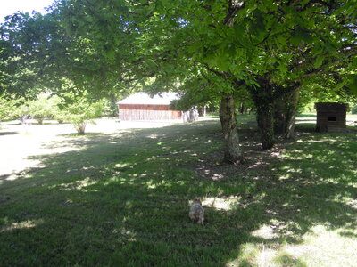Lieu camp été 2013, DSCN1862