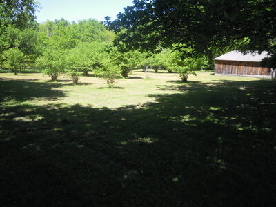 Lieu camp été 2013, DSCN1863