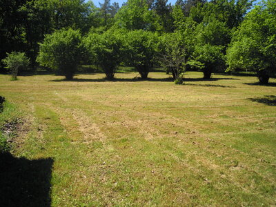 Lieu camp été 2013, DSCN1867