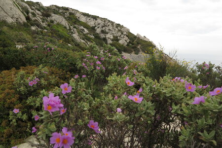 2013-05-08.09-escalade-calanques, 02-escalade-calanques-escalade-aventure-2013-05-09-20