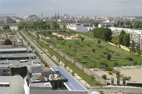 BORDEAUX, 80 BORDEAUX        Jardin Botanique