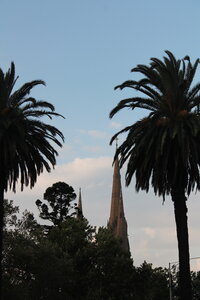 Melbourne, IMG_2754