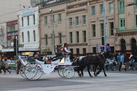 Melbourne, IMG_2789
