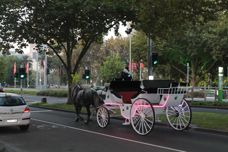 Melbourne, IMG_2831