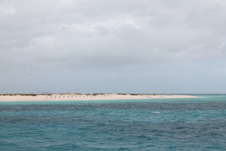 Cairns, IMG_3016