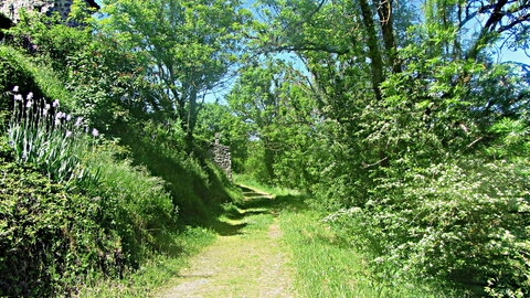 Peyrusse le roc , IMG_1946.jpg bis
