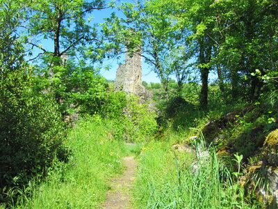Peyrusse le roc , IMG_2004