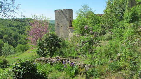 Peyrusse le roc , IMG_2032