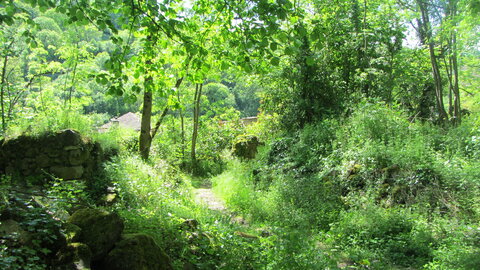 Peyrusse le roc , IMG_2033