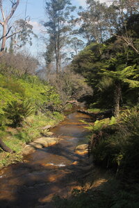 Sydney/Blue mountain, IMG_2618