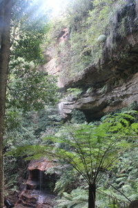 Sydney/Blue mountain, IMG_2629