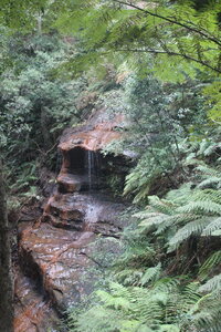 Sydney/Blue mountain, IMG_2635