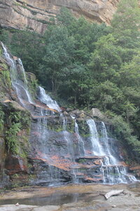 Sydney/Blue mountain, IMG_2653