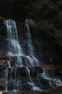 Sydney/Blue mountain, IMG_2662