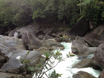 Cairns, IMG_1006