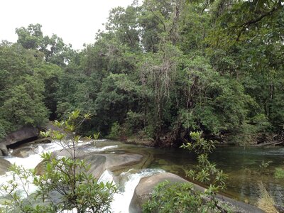 Cairns, IMG_1013