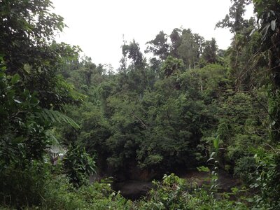 Cairns, IMG_1015