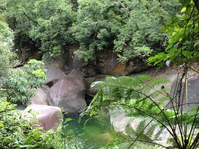 Cairns, IMG_1016