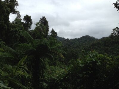 Cairns, IMG_1024