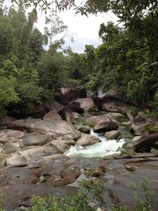 Cairns, IMG_1026