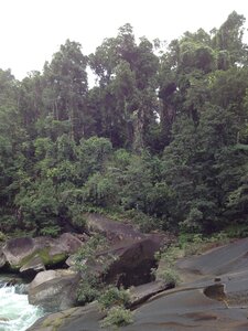 Cairns, IMG_1040