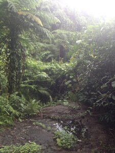 Cairns, IMG_1051