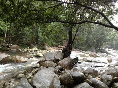 Cairns, IMG_1056