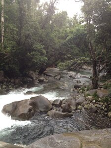 Cairns, IMG_1069