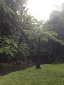 Cairns, IMG_1079