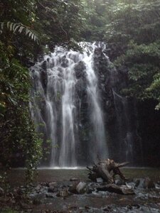 Cairns, IMG_1087