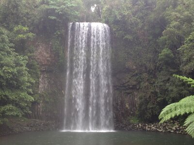 Cairns, IMG_1083