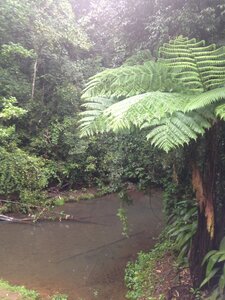 Cairns, IMG_1084