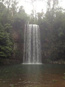 Cairns, IMG_1078