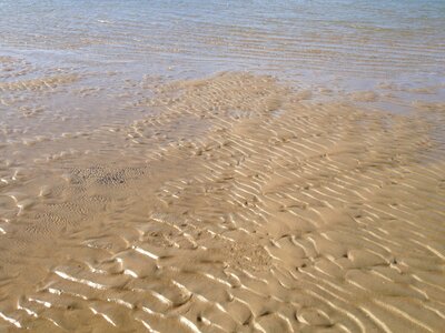 Ayr / Townsville, IMG_1128