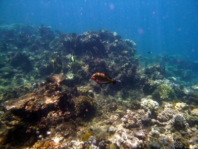 Cairns, IMG_1242