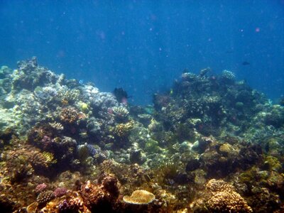 Cairns, IMG_1244